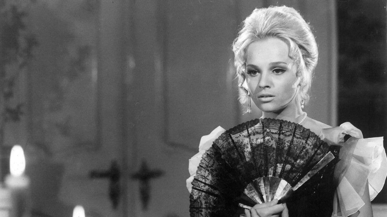 Noc labutíの背景画像