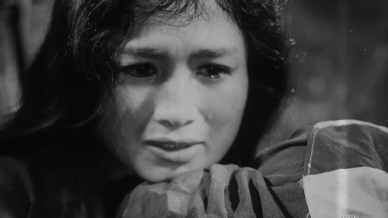 Vĩ tuyến 17 ngày và đêmの背景画像