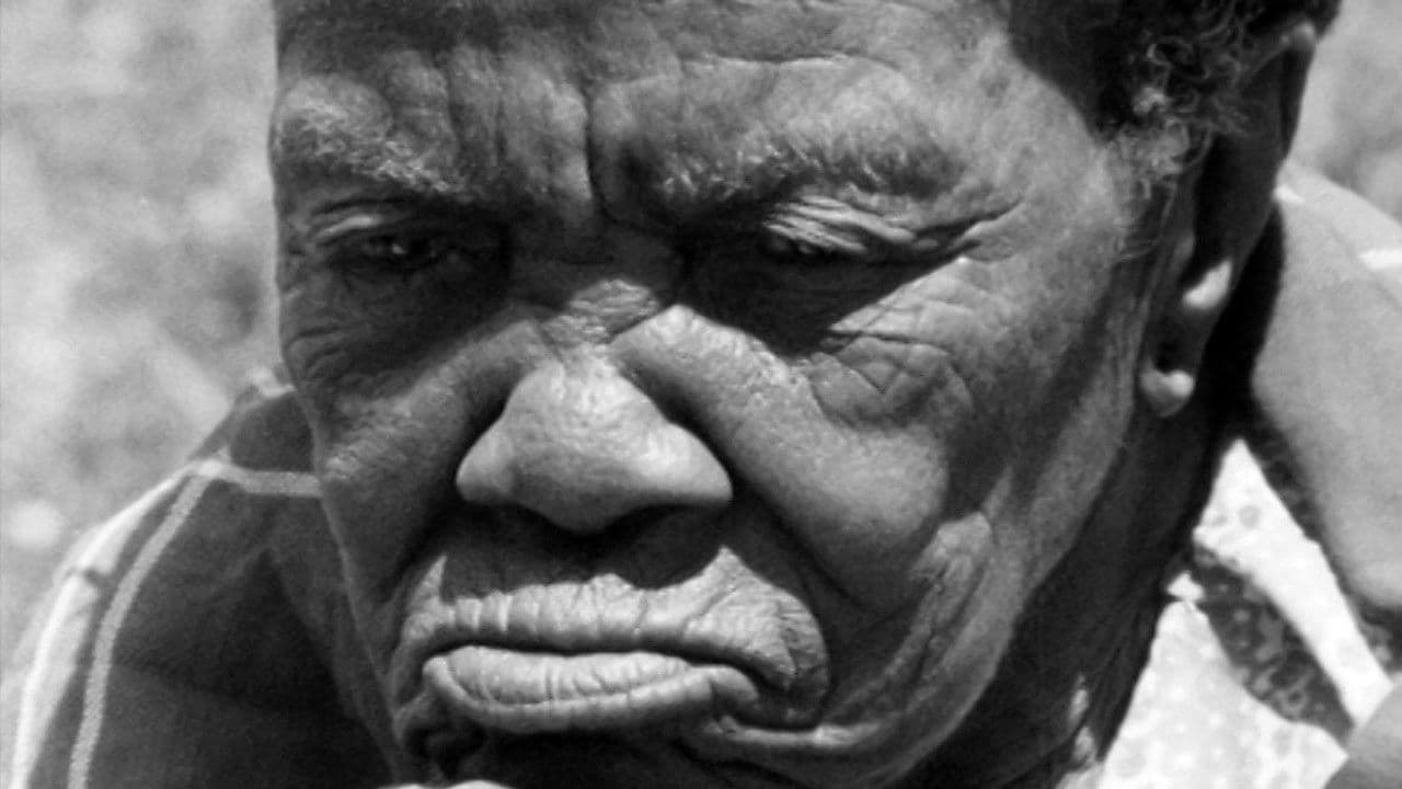 The Heart of Apartheidの背景画像