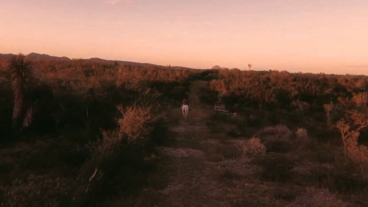 Vaquerosの背景画像