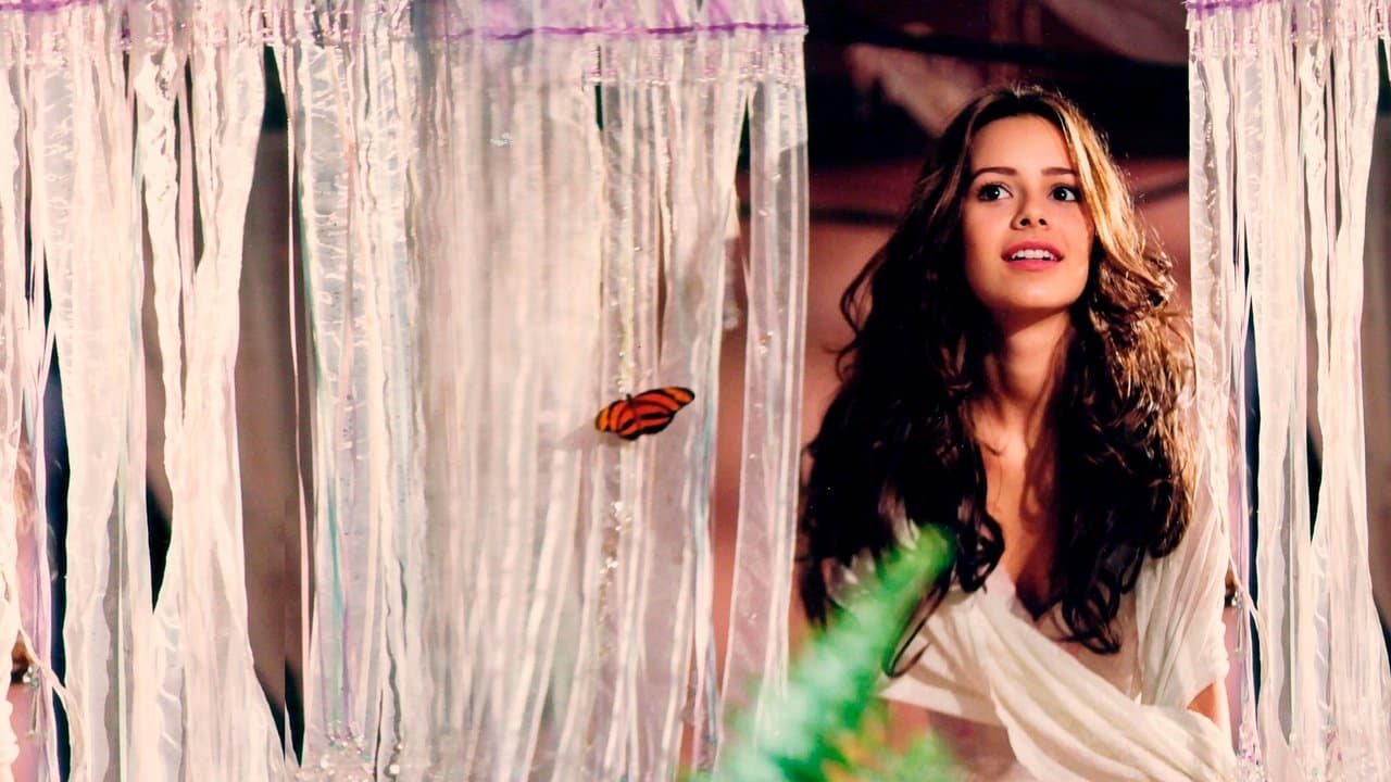 Estrela-Guiaの背景画像