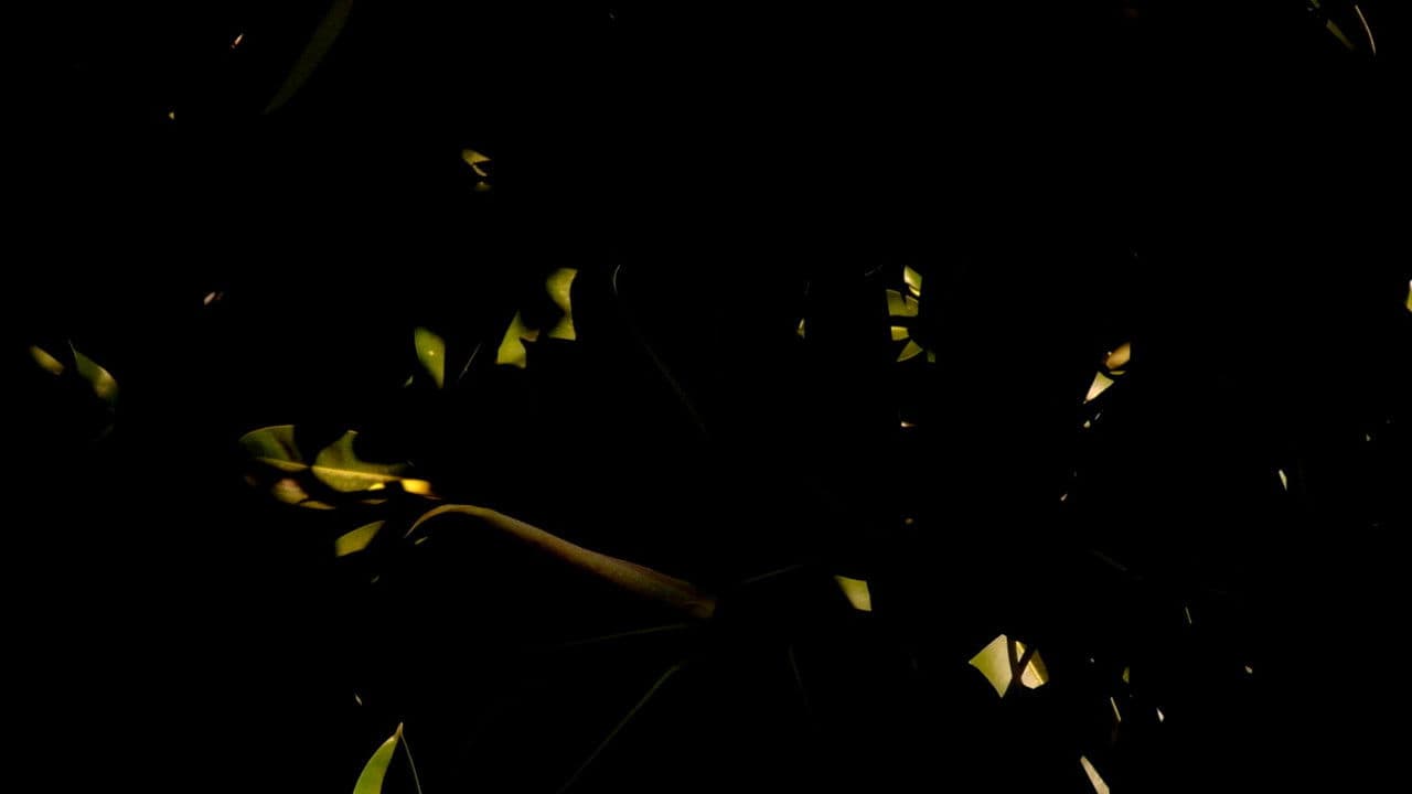 Percepciónの背景画像