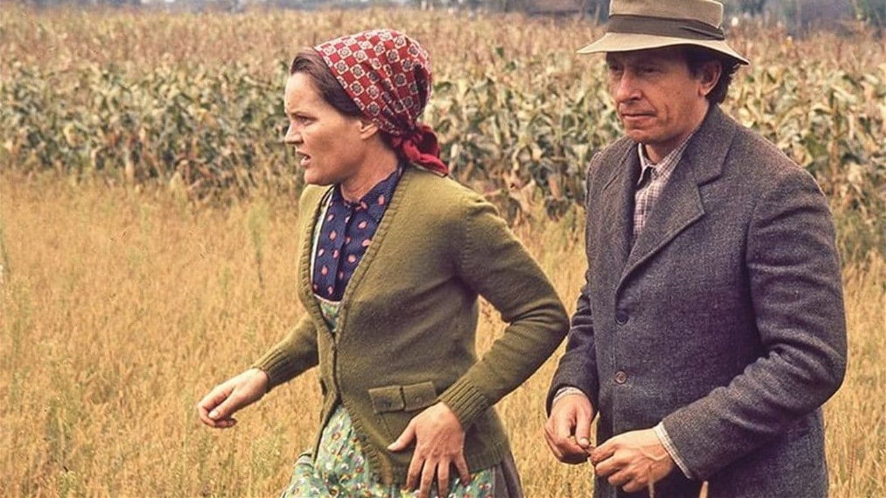 Gruntovčaniの背景画像