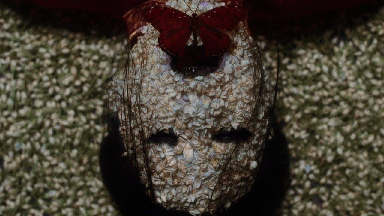 Pernikahan Arwahの背景画像