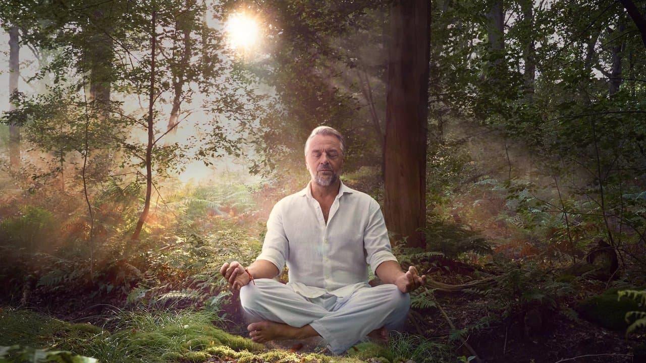 Kalm Waesの背景画像