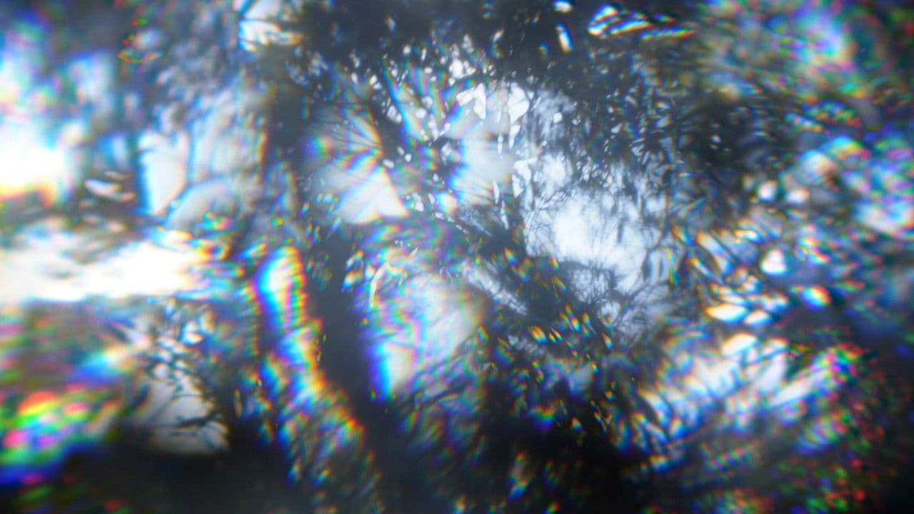 Rootsの背景画像