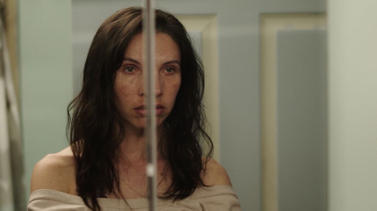 Shutter Soundの背景画像