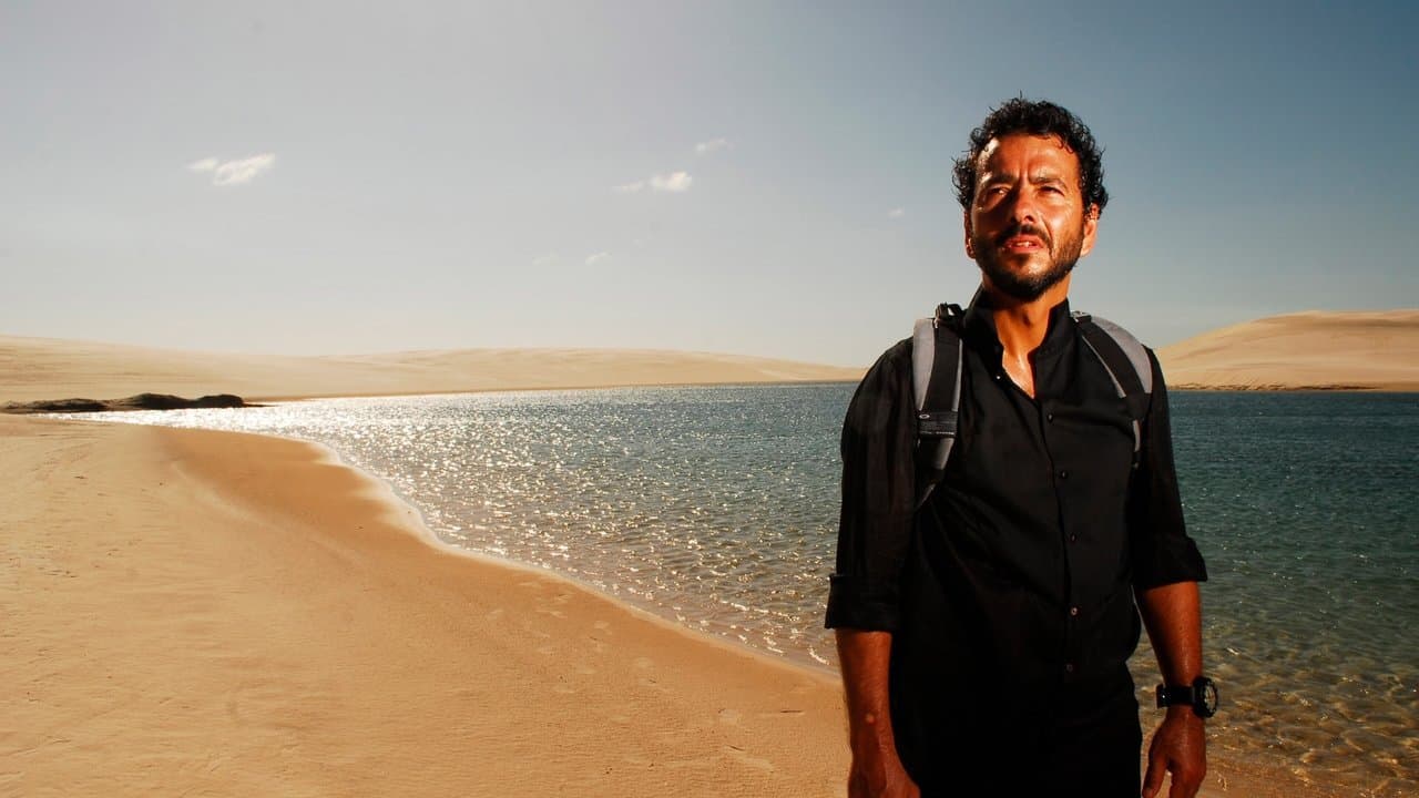 Cama de Gatoの背景画像