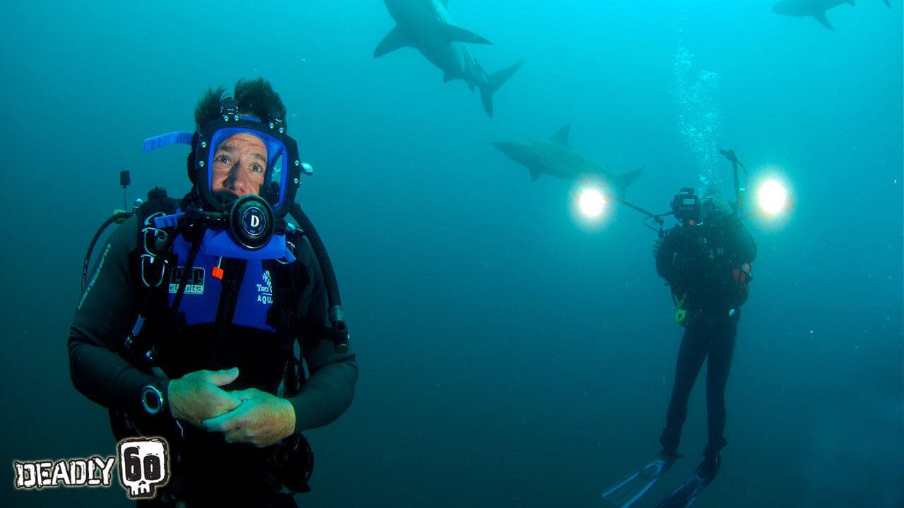 Deadly 60の背景画像