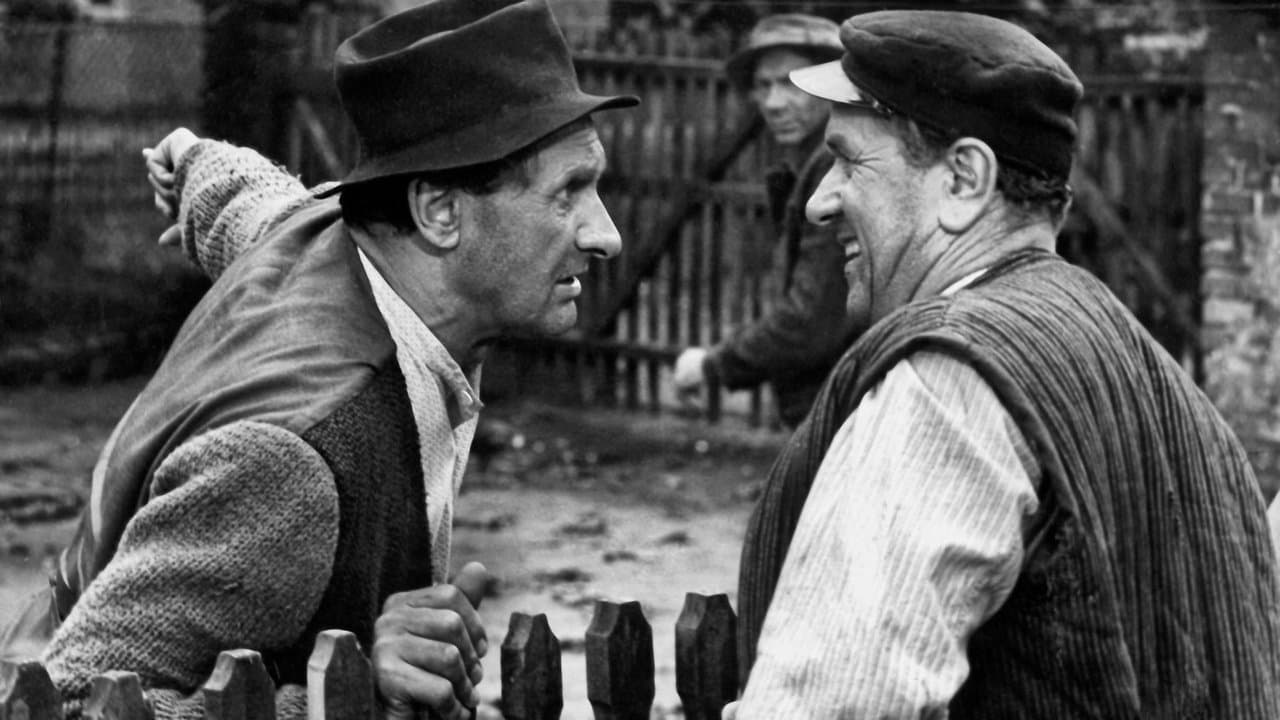 Sami swoiの背景画像