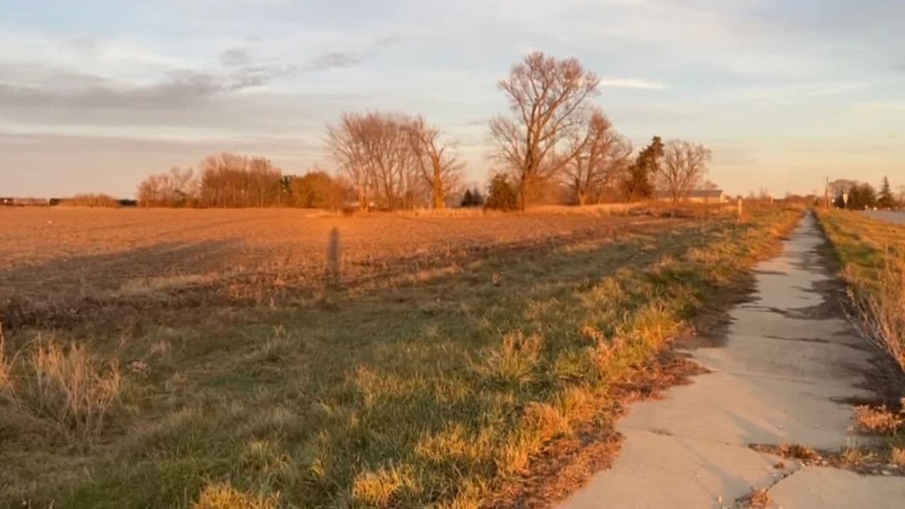 Revenge Of Pazzo Caneの背景画像