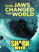 How 'Jaws' Changed the World
