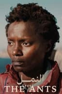 النمل