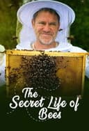 The Secret Life of Bees