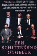 Een schitterend ongeluk