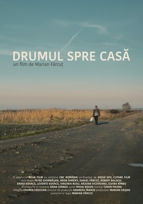 Drumul spre casaのポスター