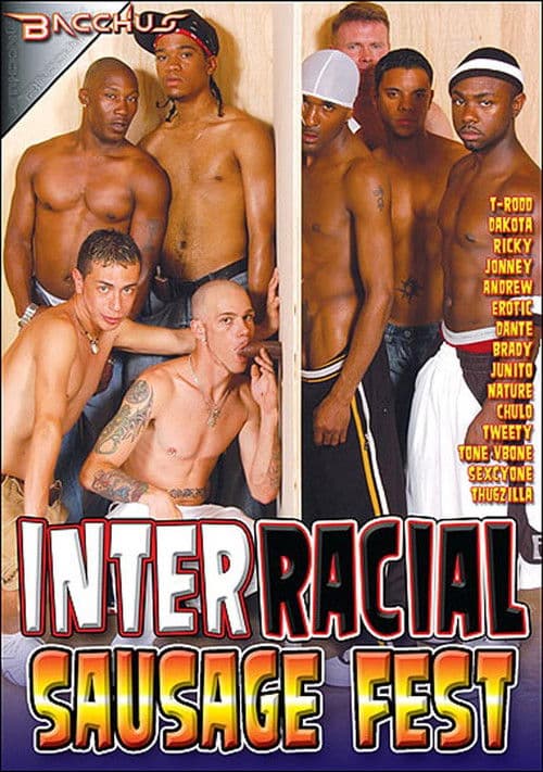 Interracial Sausage Fest 1のポスター
