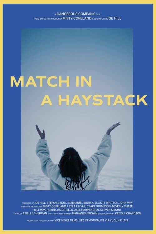 Match in a Haystackのポスター