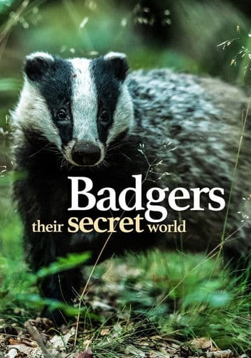 Badgers: Their Secret Worldのポスター