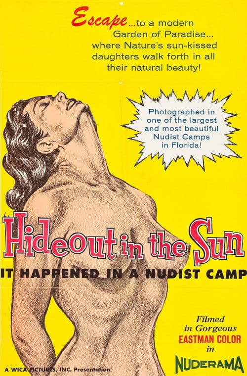 Hideout in the Sunのポスター