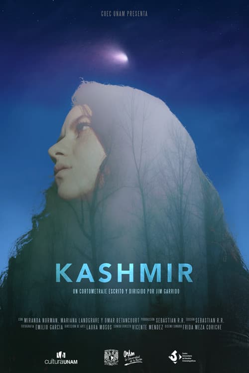 Kashmirのポスター