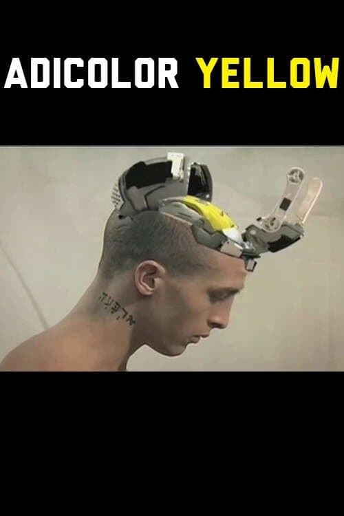 Adicolor Yellowのポスター