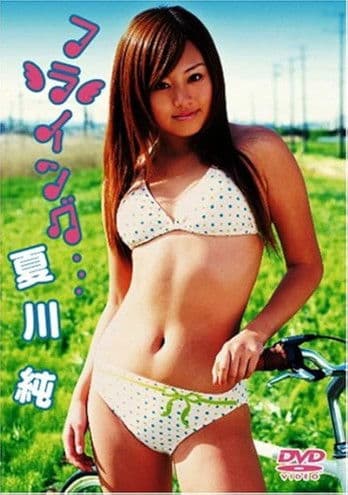 夏川純 フライング・・・のポスター