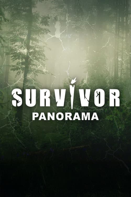 Survivor Panoramaのポスター