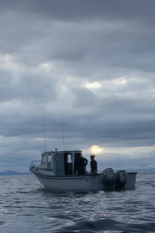 Some Saturdaysのポスター