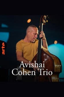 Avishai Cohen Trio – Shifting sandsのポスター