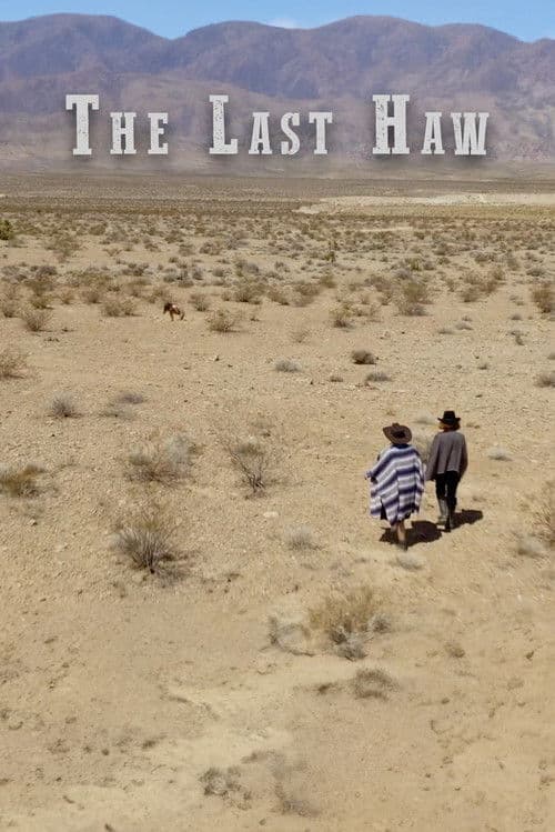 The Last Hawのポスター