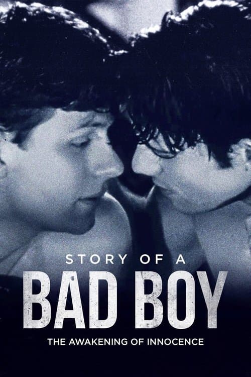 Story of a Bad Boyのポスター