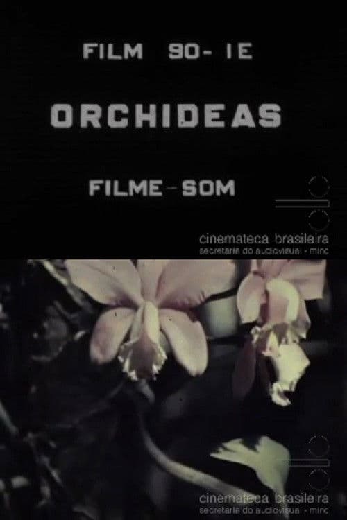 Orquídeasのポスター