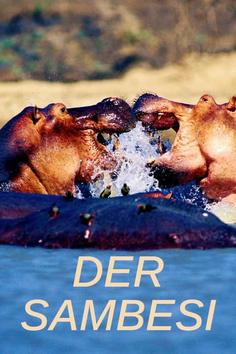 Der Sambesiのポスター