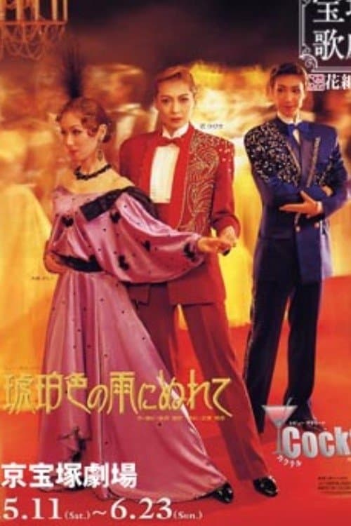 琥珀色の雨にぬれてのポスター