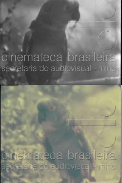 Papagaioのポスター