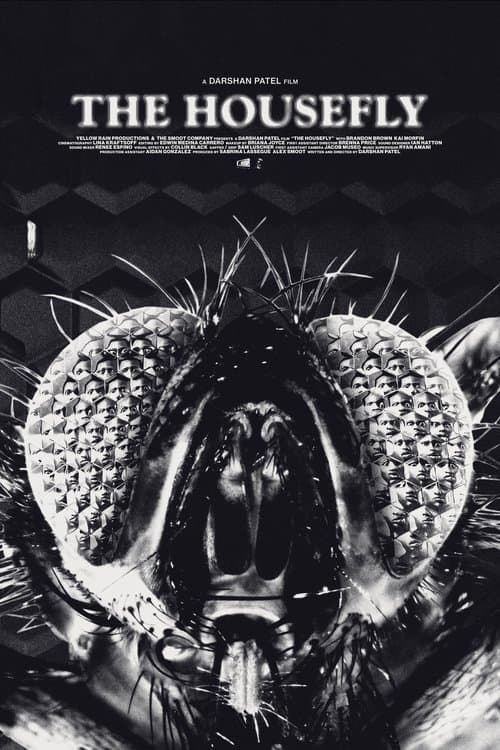 The Houseflyのポスター