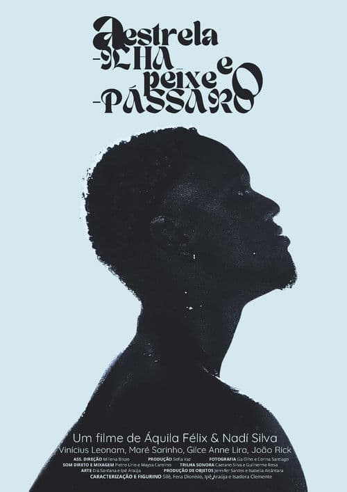 A Estrela-ilha e o Peixe-pássaroのポスター