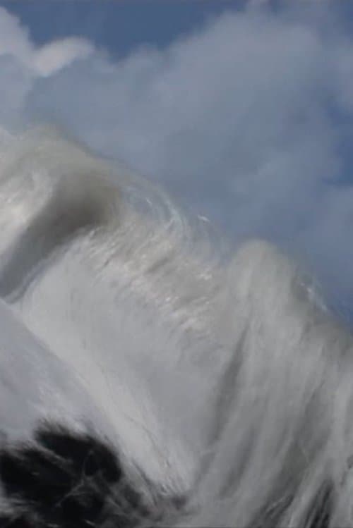 Maidenhairのポスター