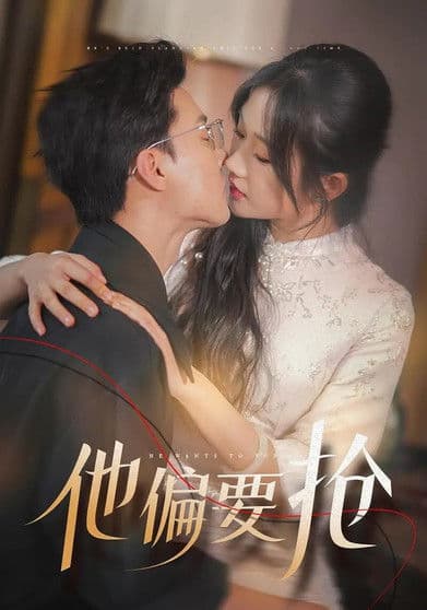 他偏要抢のポスター