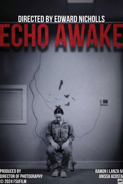 Echo Awakeのポスター