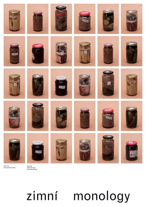 Zimní monologyのポスター