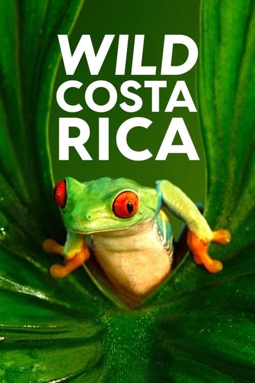 Wild Costa Ricaのポスター