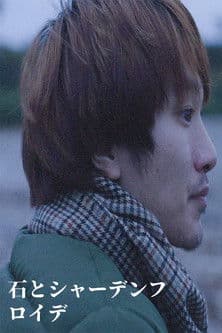 石とシャーデンフロイデのポスター