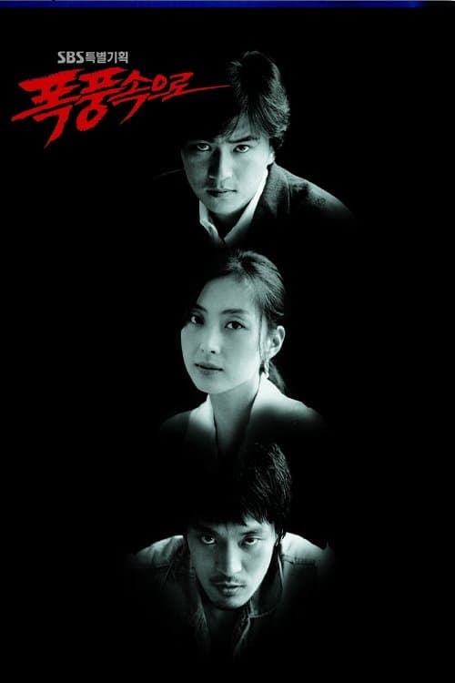 폭풍 속으로のポスター