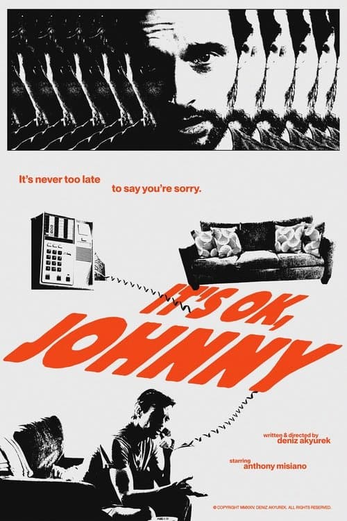 It's OK, Johnnyのポスター