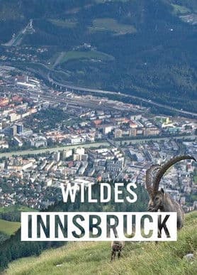 Wildes Innsbruck: Zwischen Moderne und alpiner Wildnisのポスター