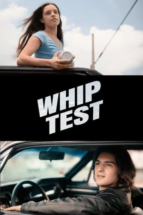 Whip Testのポスター