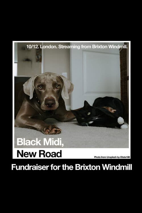Black Midi, New Road: 'Live at The Windmill, Brixton.'のポスター
