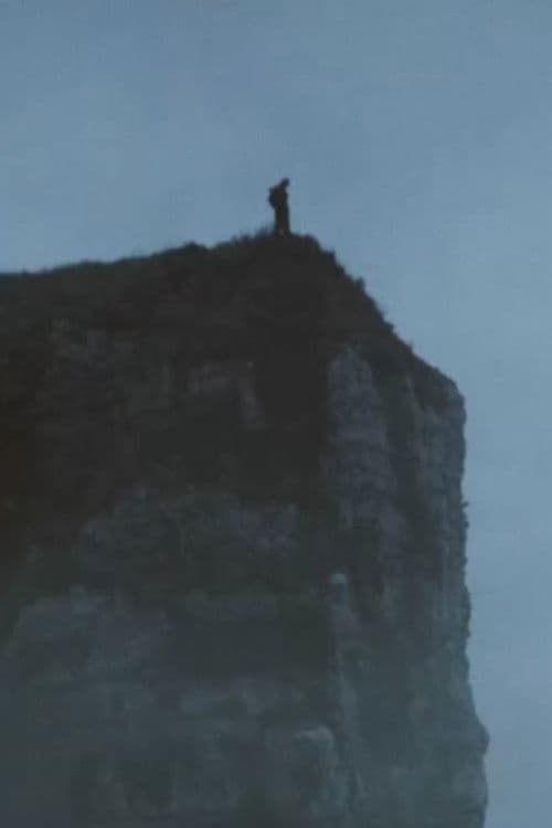 Il s'est tiréのポスター